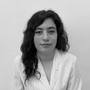 Faezeh Keshtkar | Project Architect